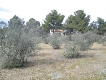 Gîte pour 4 personnes, avec jardin ainsi que piscine et vue, animaux acceptés à Mouriès