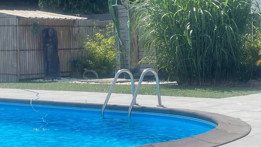 Ferienhaus für 6 Personen, mit Pool und Garten, mit Haustier in Limburg (Belgien) - 2