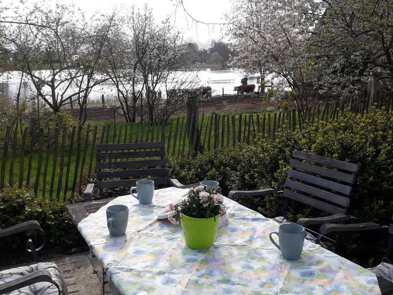 Ganze Ferienwohnung, Hof am See - Variante 1: Ferienwohnung, 1.Og, 1 Wohn-Schlafraum in Kittlitz (Herzogtum Lauenburg), Naturpark Lauenburgische Seen