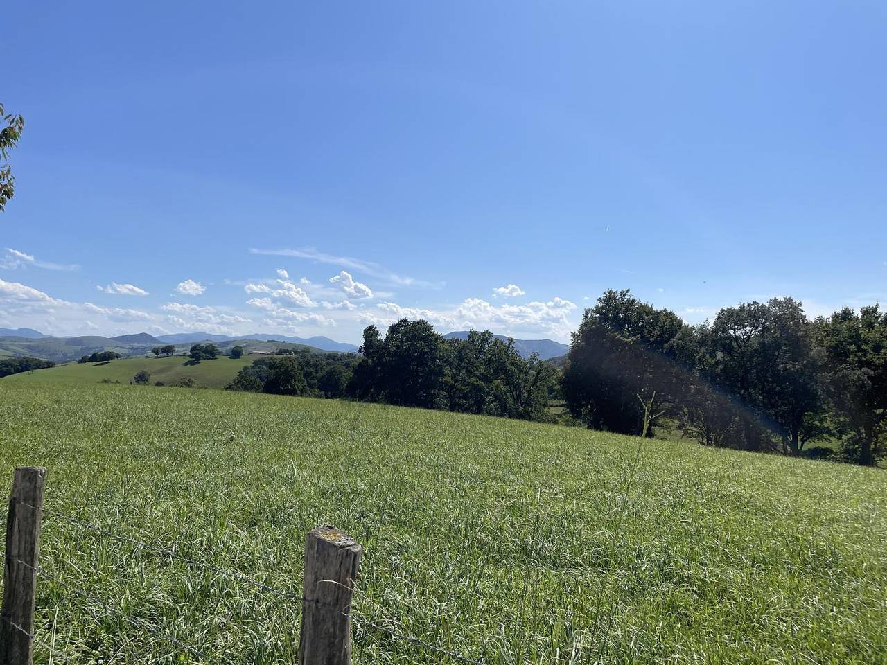 Uhaldeberria in Irissarry, Région de Bayonne