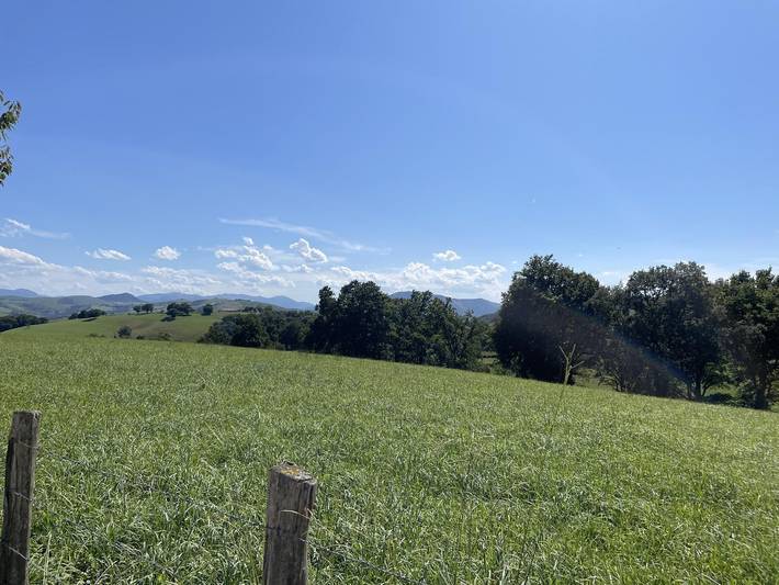 Uhaldeberria in Irissarry, Bayonne und Umgebung