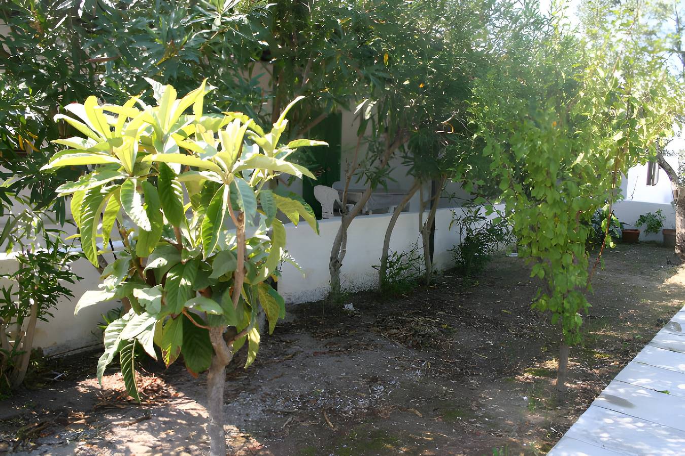 Casa Vacanze Ervilia appartamenti in Lungomare E. Mattei a 50 mt dalla spiaggia in Vieste, Gargano
