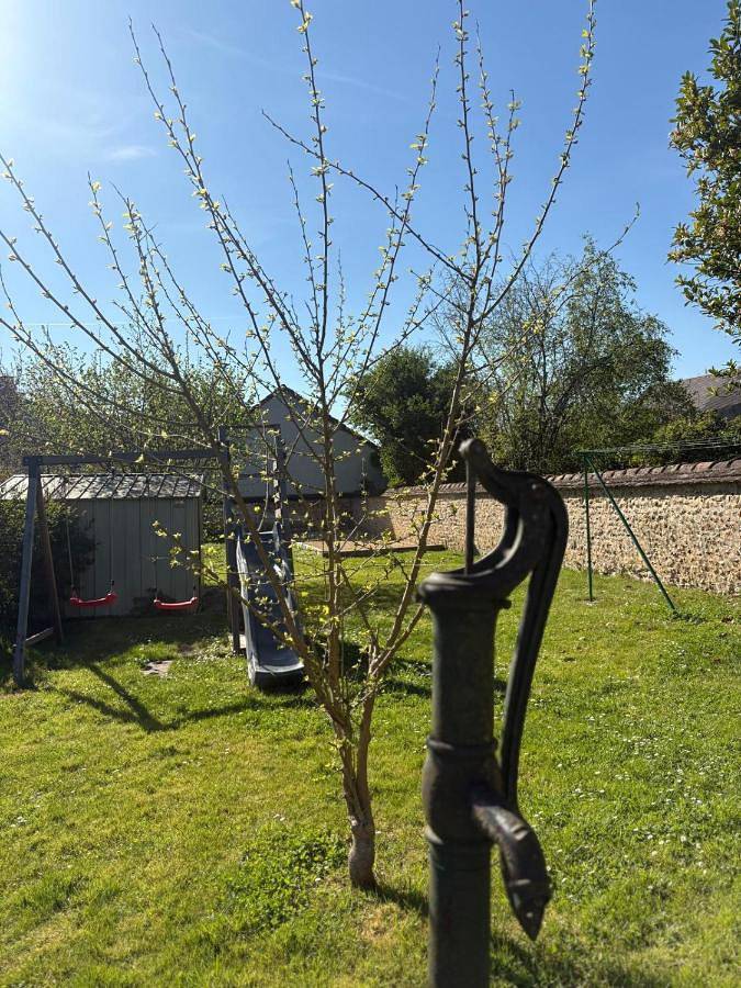 Location de vacances pour 21 personnes, avec jardin et terrasse, animaux acceptés dans Charny-Orée-de-Puisaye - 2