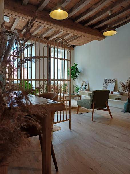 Appartement entier, L'Appartement Pasteur in Chalon-sur-Saône, Région de Chalon-sur-Saône