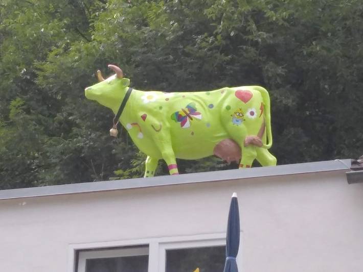 Maison d’hôte pour 4 personnes, avec balcon à Cochem - 4