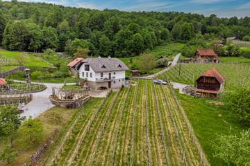Ferienhaus für 12 Personen, mit Terrasse, mit Haustier in Slowenien