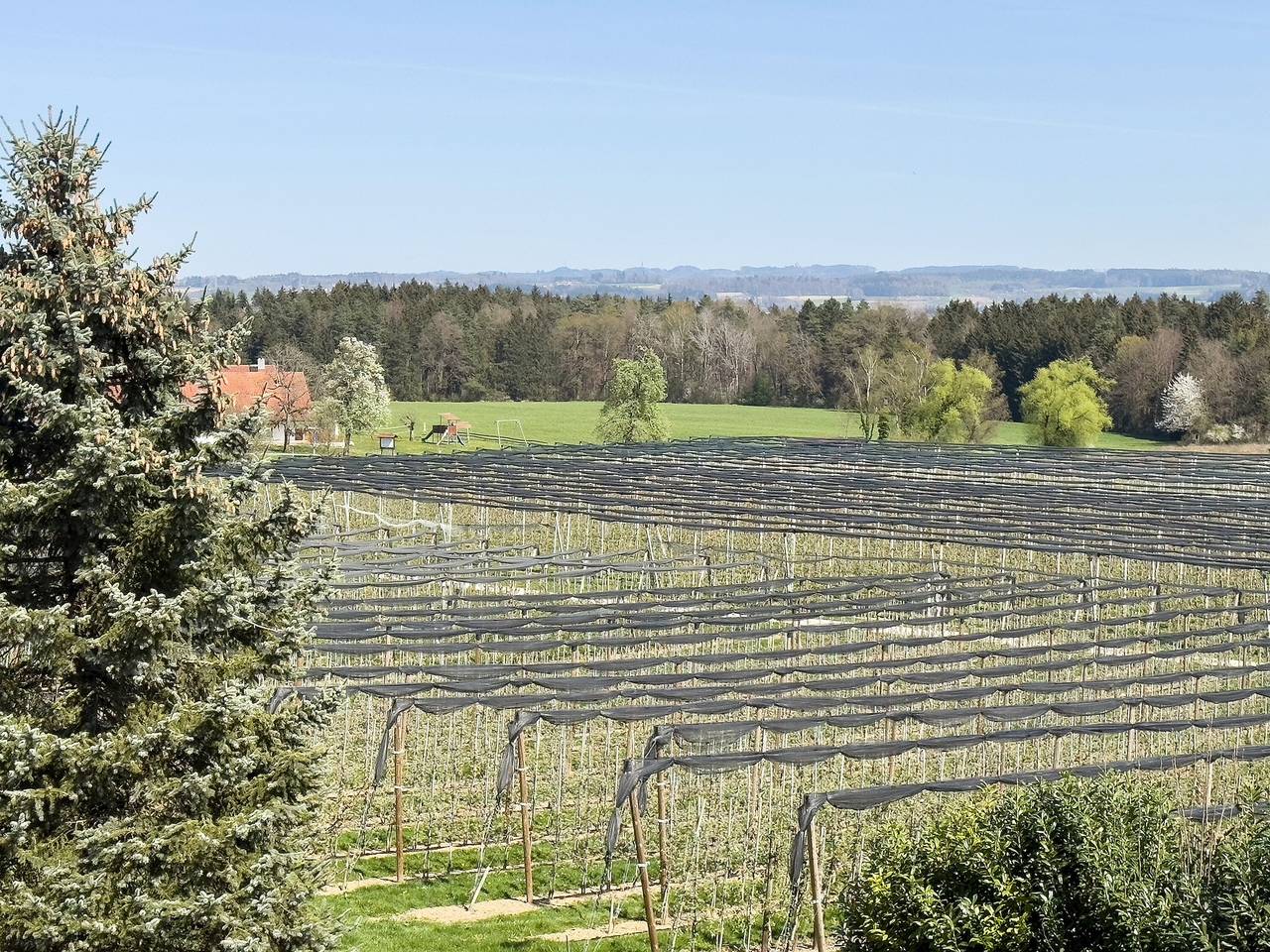 Entire apartment, Apartment 'Bergchalet Mirabell - Fewo Auszeit' with Mountain View at the lake constance in Friedrichshafen, Region Bodensee-Oberschwaben