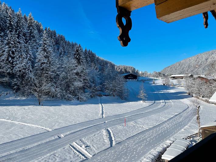 Ferienwohnung für 3 Personen, mit Balkon in Wildschönau - 3