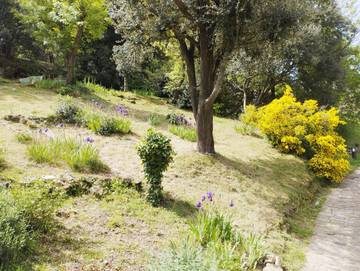 Gîte für 2 Personen in Dio-et-Valquières, Hérault, Bild 4
