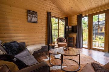 Bungalow voor 4 Personen in Veluwe, Afbeelding 3