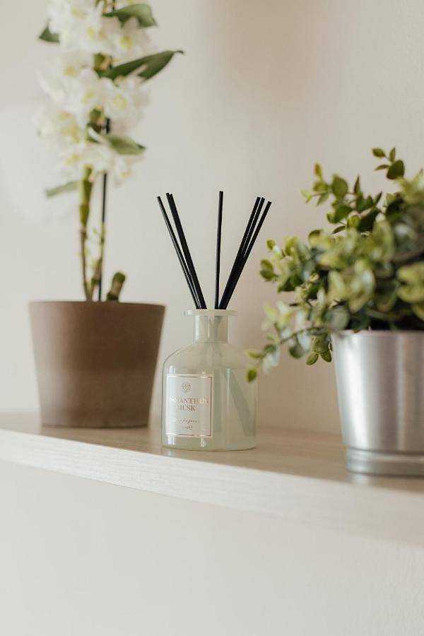 Gîte pour 8 personnes, avec jardin à Imola - 3