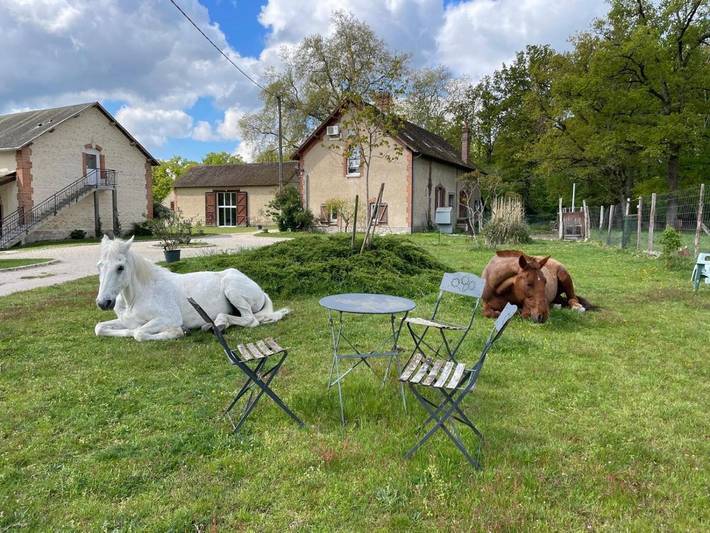 Gîte pour 13 personnes, avec jardin ainsi que vue et vue sur le lac, animaux acceptés à Lorris - 2