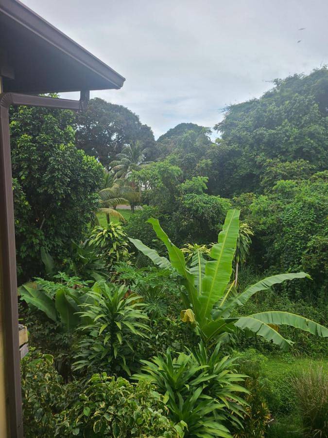 Gîte pour 4 personnes, avec piscine ainsi que vue et jardin à Remire-Montjoly - 4