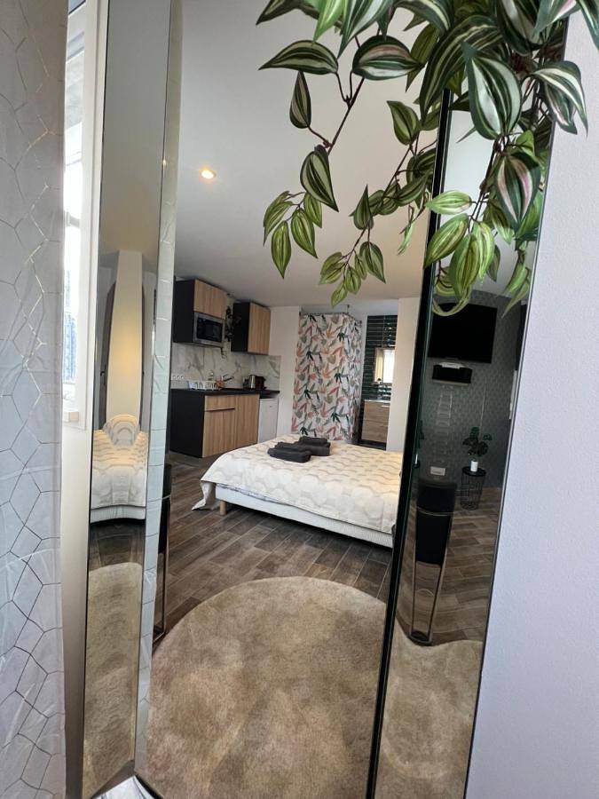 Gîte pour 2 personnes, avec jardin et jacuzzi à Tassin-la-Demi-Lune - 4