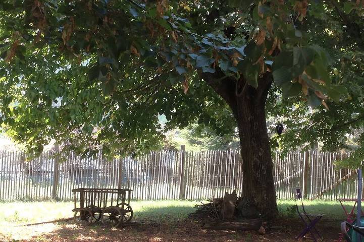 Ferienhaus für 12 Personen, mit Garten - 1