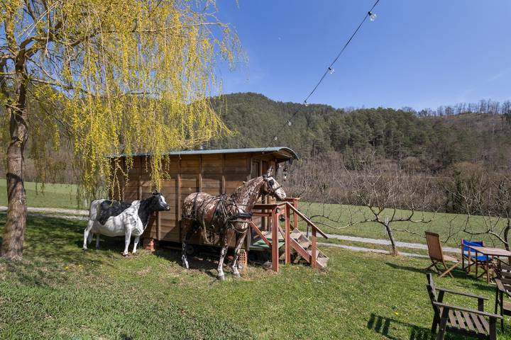 Casa de vacaciones para 4 personas, con Jardín y Sauna en Pirineo Catalan - 3