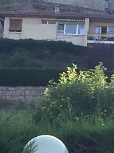 Chambre d’hôte pour 2 personnes, avec jardin, animaux acceptés dans la Loire - 2