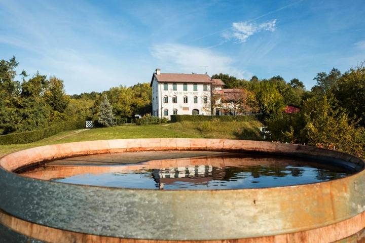 Chambre d’hôte pour 3 personnes, avec vue et jardin à Povoletto - 4