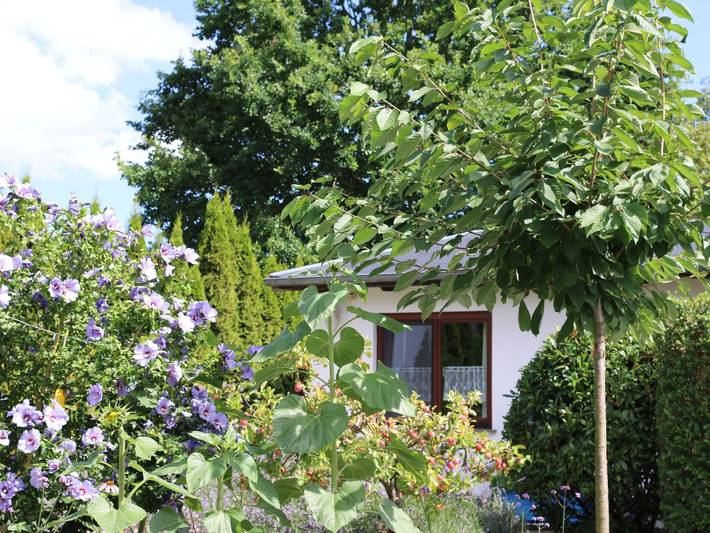 Bungalow Carpe diem in Drei Kaiserbäder, Heringsdorf