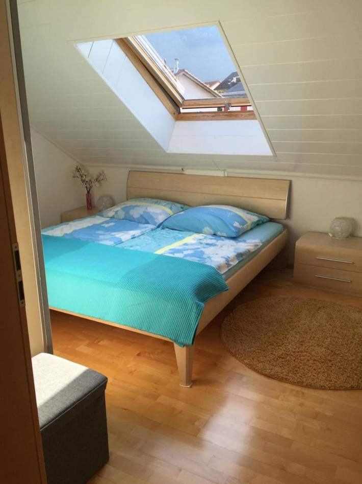 Ferienwohnung für 3 Personen, mit Terrasse und Ausblick in Hirschhorn (Neckar) - 2