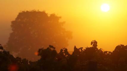 Ferienwohnung für 6 Personen in Bingen am Rhein