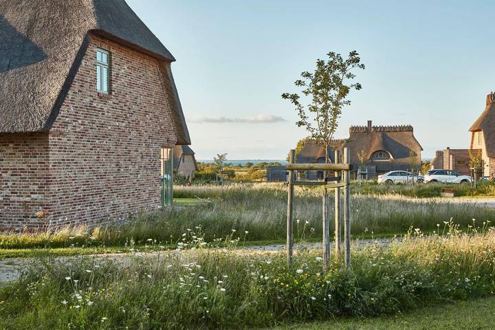 Ferienhaus für 5 Personen, mit Sauna und Seeblick sowie Garten und Ausblick, mit Haustier in Angeln Halbinsel - 4