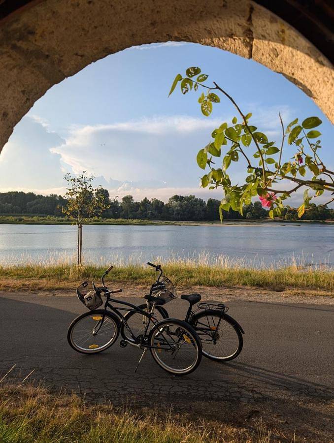 Location de vacances pour 4 personnes, avec vue ainsi que jardin et terrasse, animaux acceptés à Sully-sur-Loire - 4