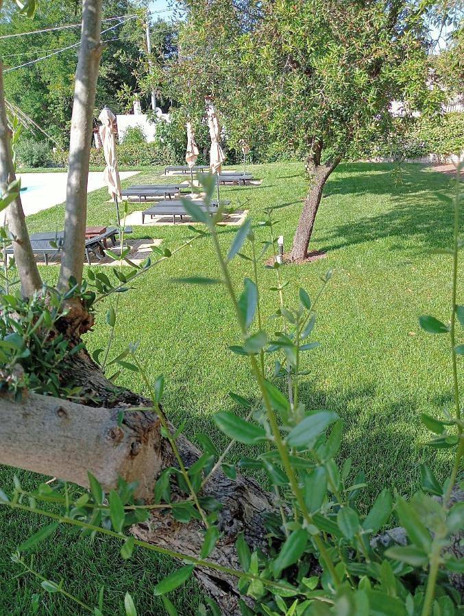 Location de vacances pour 2 personnes, avec piscine et jardin à Selva di Fasano - 3