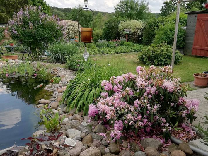 Ferienwohnung für 4 Personen, mit Garten in Fürstenberg/Havel - 4