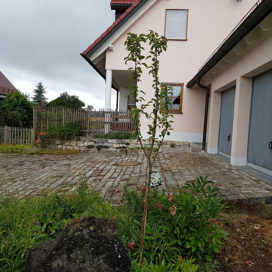 Jurasonne in Gräfenberg, Frankenalb