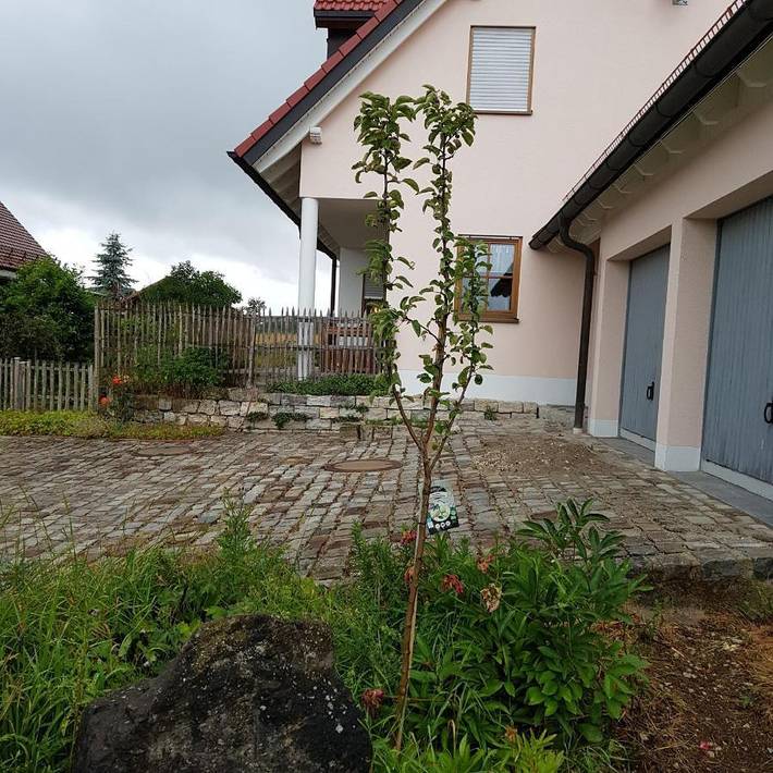 Ferienhaus für 10 Personen, mit Garten und Ausblick in Gräfenberg