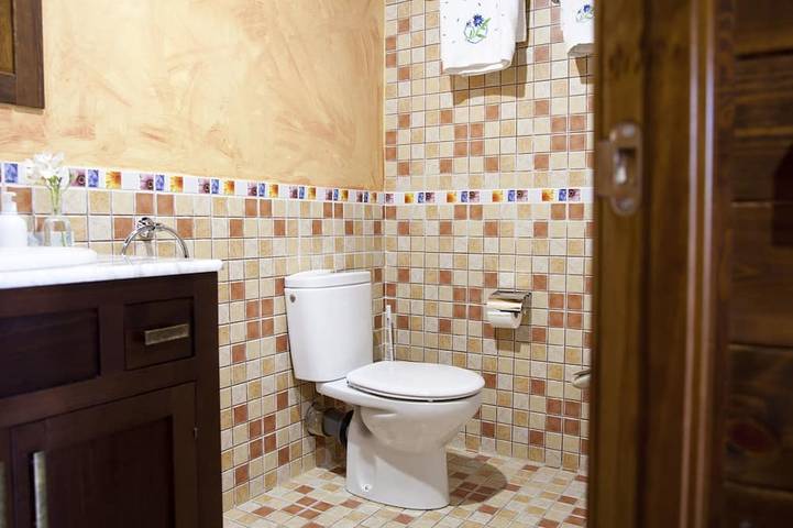 Gîte pour 4 personnes, avec terrasse dans Pola de Lena - 3