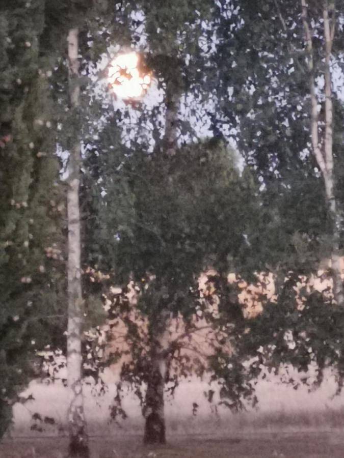 Gîte pour 2 personnes, avec vue ainsi que jardin et piscine à Néré - 3