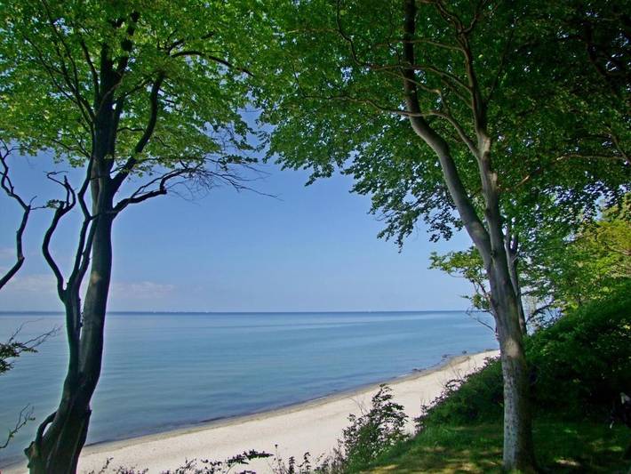 Ferienhaus für 4 Personen, mit Ausblick und Terrasse, mit Haustier im Klützer Winkel - 4