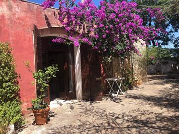 Gîte pour 5 personnes, avec jardin, animaux acceptés à Polignano a Mare