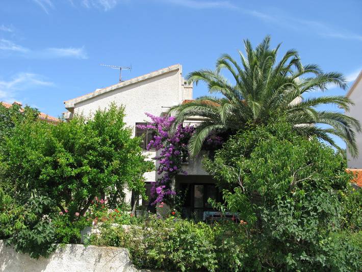 Ferienwohnung für 5 Personen, mit Terrasse und Garten in Pjescana Uvala - 2