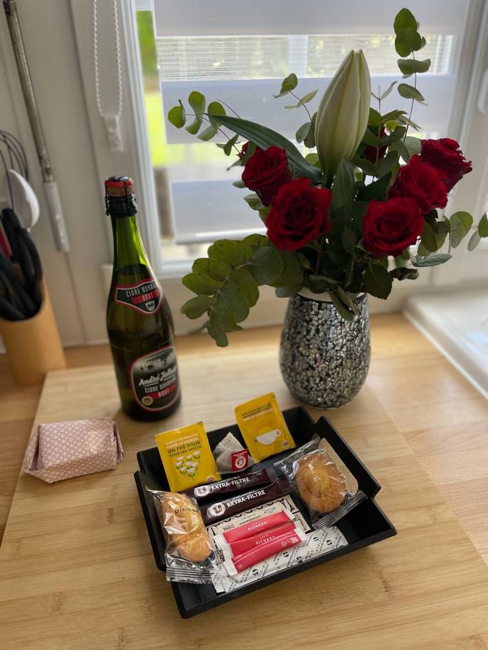 Gîte pour 2 personnes, avec terrasse et jardin, animaux acceptés dans Petit-Caux - 2