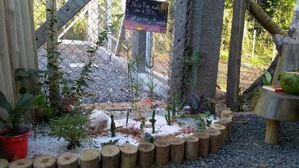 Camping für 4 Personen in Itacaré, Bahia, Bild 2