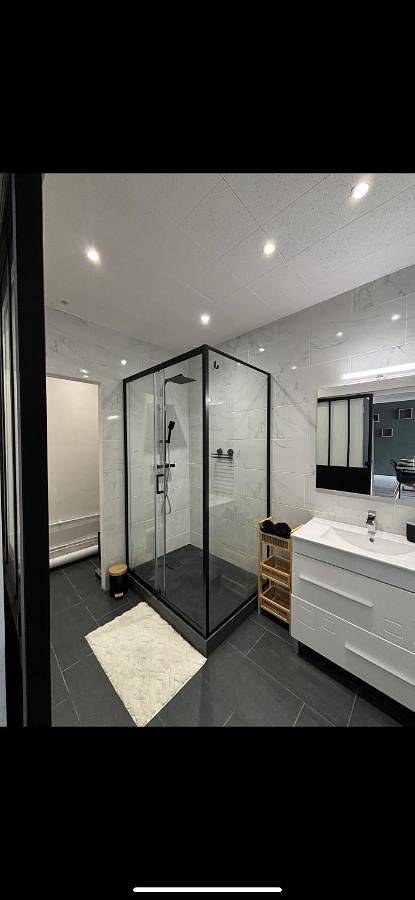 Gîte pour 4 personnes, animaux acceptés à Roanne - 4