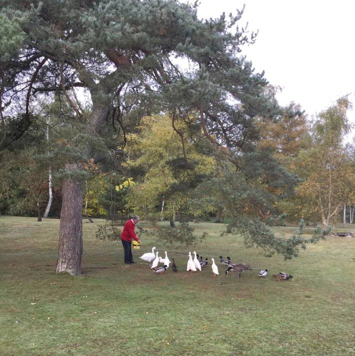 Chambre d’hôte pour 2 personnes, avec jardin dans l' Aisne - 3