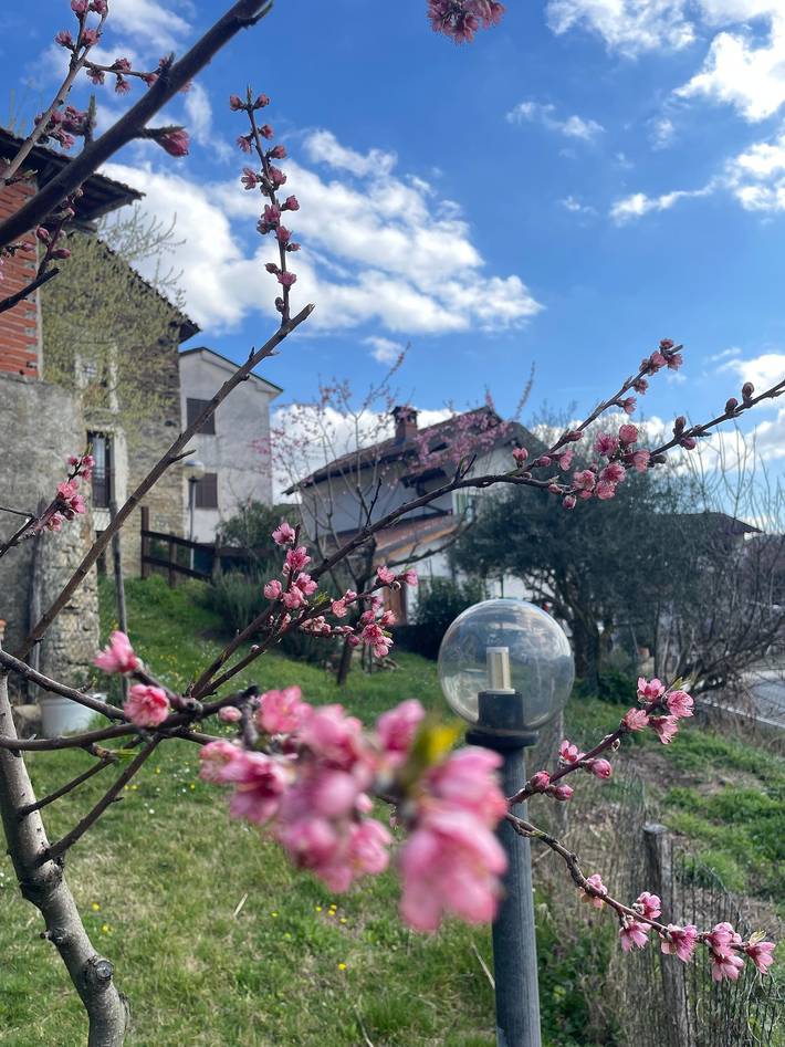 Maison de vacances pour 3 personnes avec terrasse in Prasco, Province d'Alexandrie