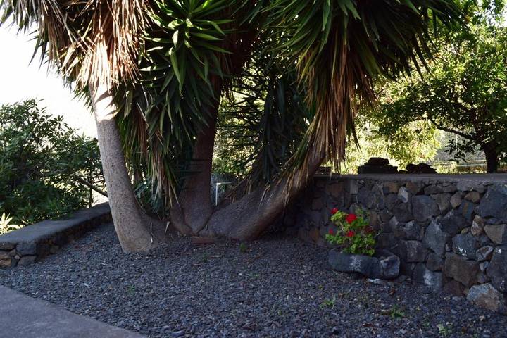 Casa rural para 5 personas, con Balcón y Terraza además de Jardín y Vistas en El Paso - 4