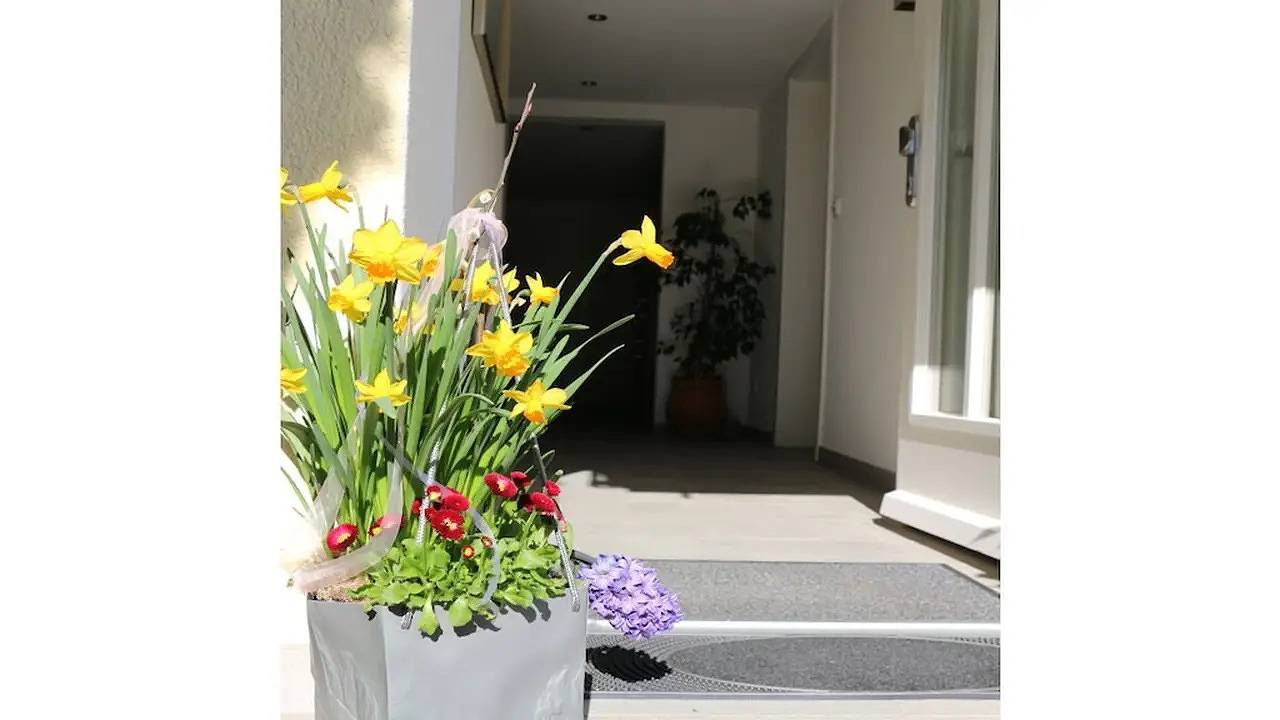 Ferienhaus für 2 Personen (30 m²) in Konstanz in Konstanz, Landkreis Konstanz