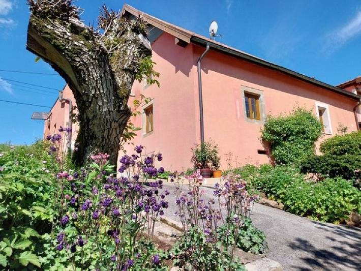 Gîte pour 5 personnes, avec jardin et terrasse dans Belverne