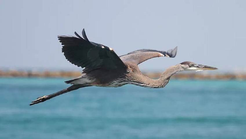 Vacation rental for 4 people, with pool in Navarre Beach