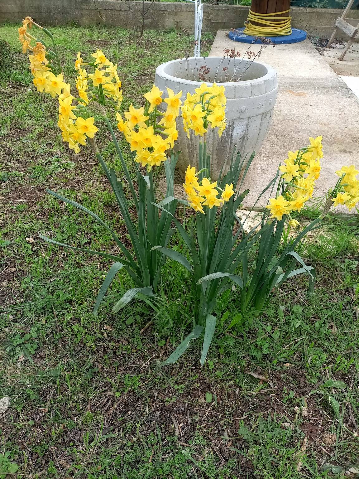 Ganze Wohnung, Studio Appartement mit Balkon und Meerblick Kraj, Pasman As-22566-a in Ugrinici, Kraj