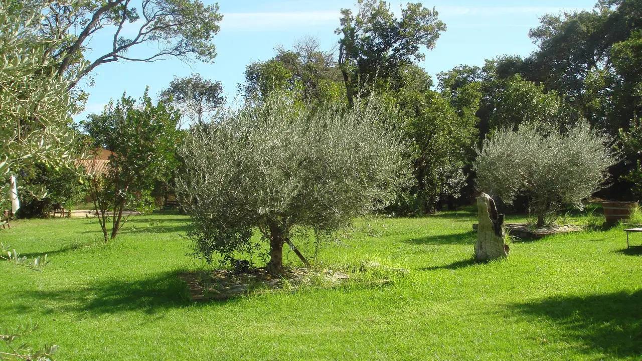 Ferienhaus für 2 Personen (24 m²) in Poggio Mezzana in Poggio-Mezzana, Arrondissement de Corte
