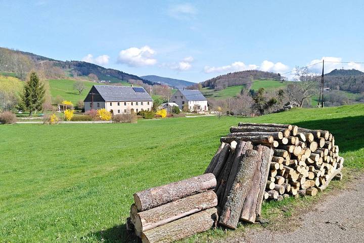 Gîte pour 2 personnes, avec sauna et jardin, animaux acceptés à Orbey - 3