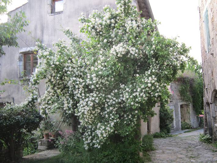 Gîte pour 8 personnes, avec balcon et jardin