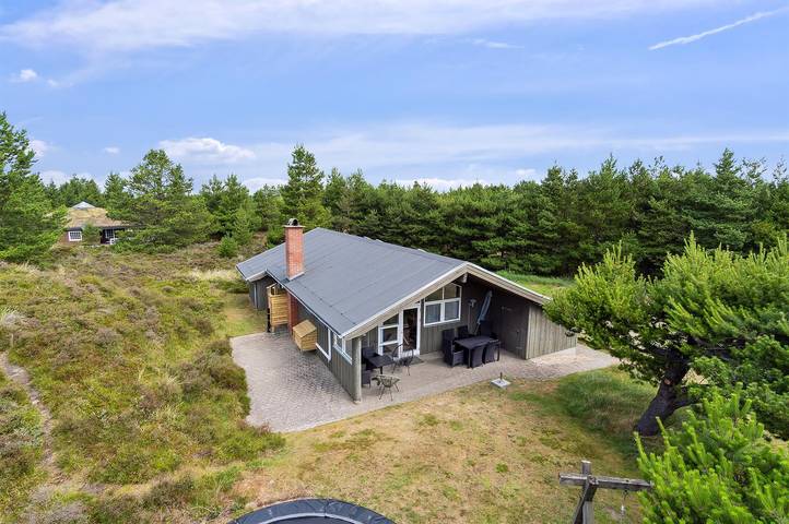 Ferienhaus für 8 Personen, mit Sauna und Terrasse sowie Whirlpool, mit Haustier in Biikebrennen - 2